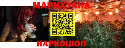 spice Дубна