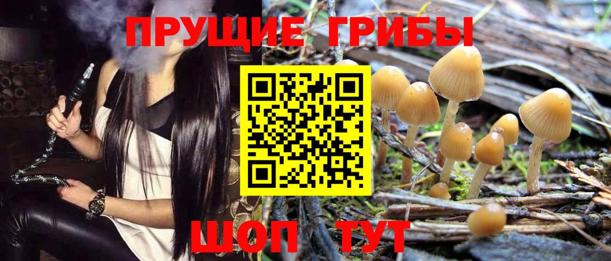 Псилоцибиновые грибы Cubensis Миасс