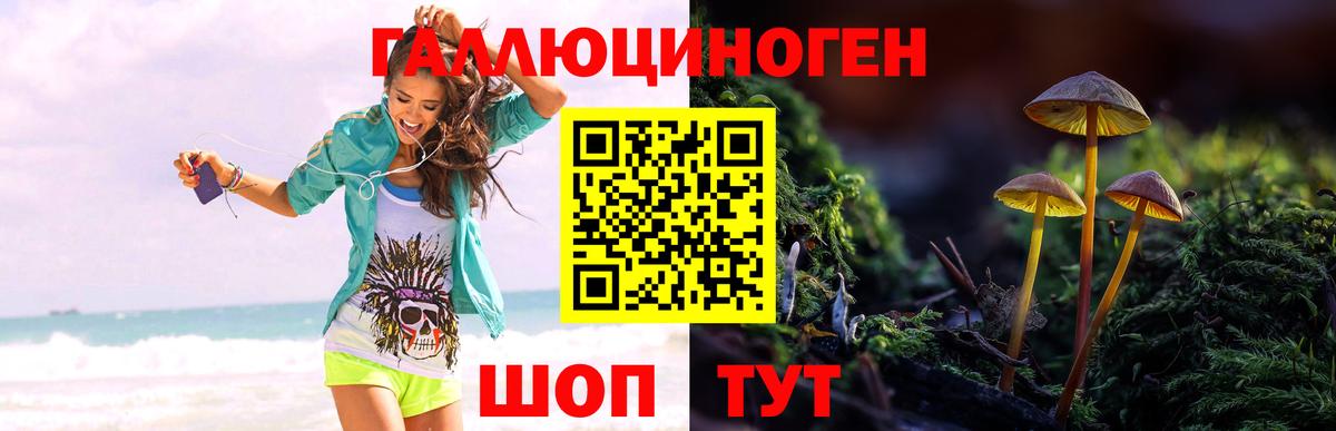 Миасс  Галлюциногенные грибы GOLDEN TEACHER  Вход с VPN  Галлюциногенные грибы Cubensis 